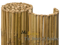 Bambus-Leverkusen Detailansicht  Bambusrollzaun Natur