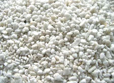 Bambus-Leverkusen: Perlit - Ort: Leverkusen