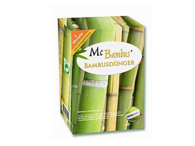 Bambus-Leverkusen Bambuspflege